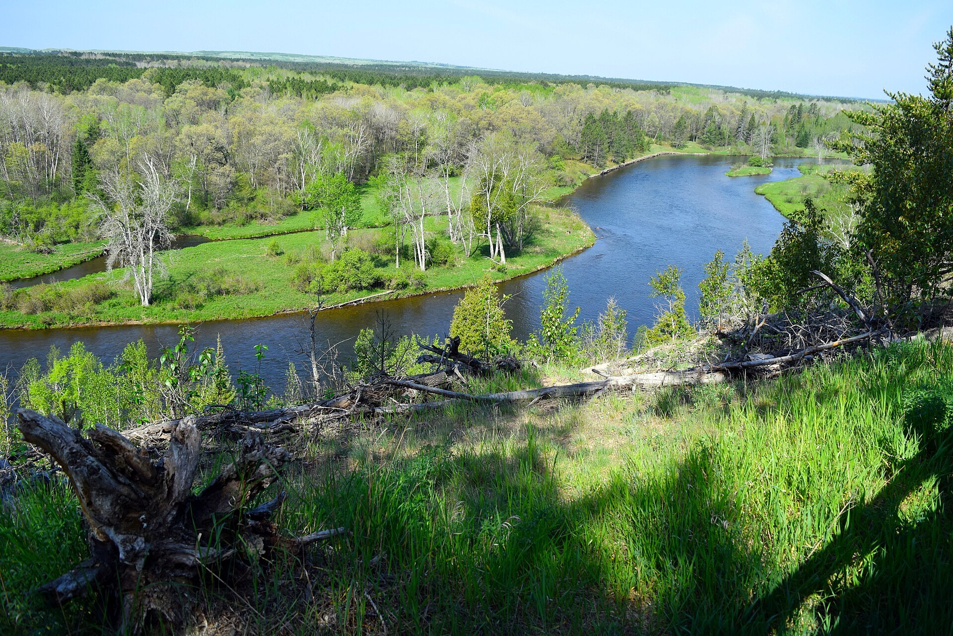 The Au Sable River winding through green forest below the Highbanks in Michigan